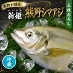 アジ 新姫熊野しまあじ 1匹