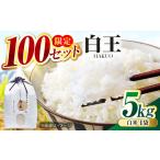 お米 白王 HAKUO 5kg