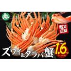 ふるさと納税 2109. 二大蟹食べ比べセット 計1.6kg（タラバ足 800g/ズワイ足 800g） 食べ方ガイド・専用ハサミ付 カニ かに 蟹 海鮮 送料無料 .. 北海道弟子屈町