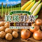 野菜 定期便 4回便 アスパラ とうもろこし