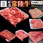 牛肉 ステーキ 厳選 常陸牛 6ヶ月セット 共通返礼品