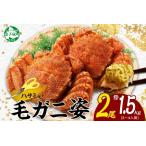 ふるさと納税 3336.蟹 毛蟹 2尾 計1.5kg前後 食べ方ガイド・専用ハサミ付 カニ かに 蟹 海鮮 ボイル 送料無料 北海道 弟子屈町 北海道弟子屈町