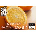 オーガニック はっさく 八朔 鹿島産 5kg
