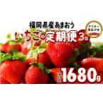 ふるさと納税 先行予約!『いちごの定期便』福岡県産 あまおう 合計約1680g(約280 g×2パックを2月3月4月の3回) 2026年2月より順次.. 福岡県久留米市