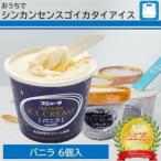 ふるさと納税 アイス バニラ 6個 シンカンセンスゴイカタイアイス 愛知県名古屋市