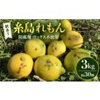 糸島れもん B 3kg