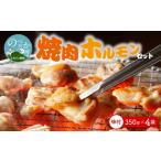 中尾商店の焼肉セット N001-YZA153