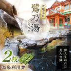 温泉 サウナ スパ利用券 1300年の歴史ある温泉