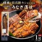 うなぎ 蒲焼 特大1尾