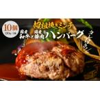 ふるさと納税 つるやの旨うまハンバーグ 120g × 7個 【牛肉 豚肉 和牛 黒毛和牛 国産 お家ごはん 夜ご飯 おかず 人気 ジューシー 父の日】 .. 福井県坂井市