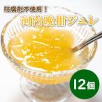 ふるさと納税 河内晩�