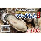 厚岸産牡蠣 2Lサイズ 20個