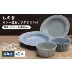 しのぎ カレーパスタ皿&サラダボウルM 各2個