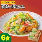 野菜 皿うどん6食セット 麺 うどん