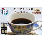 キリマンジャロ ピーベリー 100g×4本