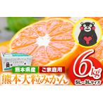 訳あり 大粒みかん 6kg