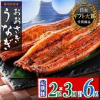 おおさき うなぎ 長蒲焼 合計6尾