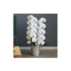 fu.... налог большой колесо . бабочка орхидея белый 2 шт ..F18. перо акционерное общество восток близко . Shiga префектура восток близко . город 