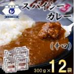 スパイシーカレー辛口 レトルト 300g×12袋