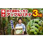 ふるさと納税 【希少】甘さ濃厚もっちりアップルバナナ3kg 沖縄県南風原町