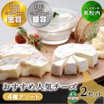 チーズ 4種セット 詰め合わせ