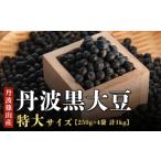 ふるさと納税 【新物 令和7年産】丹波篠山産 丹波黒大豆 特大サイズ DP05 黒豆 丹波黒 おせち用 煮豆 グルメ 高級 ブランド 兵庫県丹波篠山市