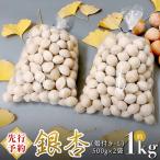 銀杏 ぎんなん 約1kg