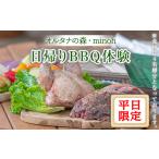 オルタナの森日帰りBBQ体験 平日 バーベキュー