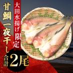 大ぶり甘鯛一夜干 2尾