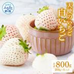 Berry農園 天使のいちご 白いちご