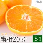 浜風みかん 南柑20号 5kg