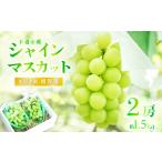 ふるさと納税 【 2025年 先行予約 】 シャインマスカット 2房 ( 約1.5kg ) 贈答用 【 石崎ぶどう園 】( 2025年8月下旬から9月下旬頃発送予定 .. 茨城県下妻市
