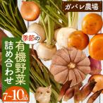 ガバレ農場の季節の有機野菜詰め合わせセット