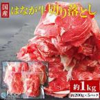 はなが牛 ミンチ 1kg