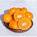 ふるさと納税 ［先行予約］訳ありみかん 約10kg(箱込み）　和歌山県産 和歌山県和歌山市