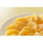 ふるさと納税 訳あり八朔  約10kg（箱込み） 和歌山県産 和歌山県和歌山市