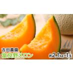 ふるさと納税 【2025年8月下旬より発送】北海道 富良野 メロン 赤肉 約2.1kg×1玉 (吉田農園) メロン フルーツ 果物 新鮮 甘い 贈り物 ギ.. 北海道富良野市