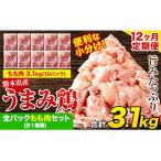鶏肉 12か月定期便 もも 3.1kg