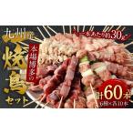本場博多の九州産焼鳥セット 計60本