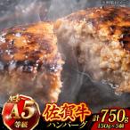 佐賀牛100%ハンバーグ 5個