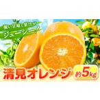 清見オレンジ 5kg