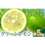 グリーンレモン 約5kg