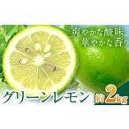 グリーンレモン 約2kg