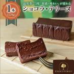 温度帯で3度 食感 味わい が変わる リッチなテリーヌショコ…