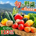 野菜定期便 10品目以上 野菜セット