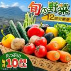 旬のお野菜 10種