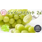ショッピングふるさと納税 シャインマスカット ふるさと納税 【お中元 熨斗付】 シャインマスカット 2房 【2026年7月から発送開始】 （茨城県共通返礼品 [ぶどう]：結城市産） 茨城県つくばみらい市