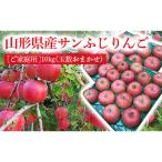 産のサンふじりんご10kg 玉数おまかせ