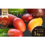ふるさと納税 マンゴー 【 先行予約 _ 2026年6月頃より順次発送 】 完熟マンゴー 1kg 静岡県藤枝市