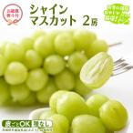 シャインマスカット 2房 共通返礼品 ぶどう..